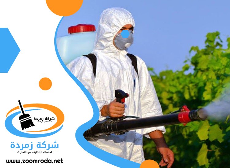 شركة مكافحة حشرات في القوز