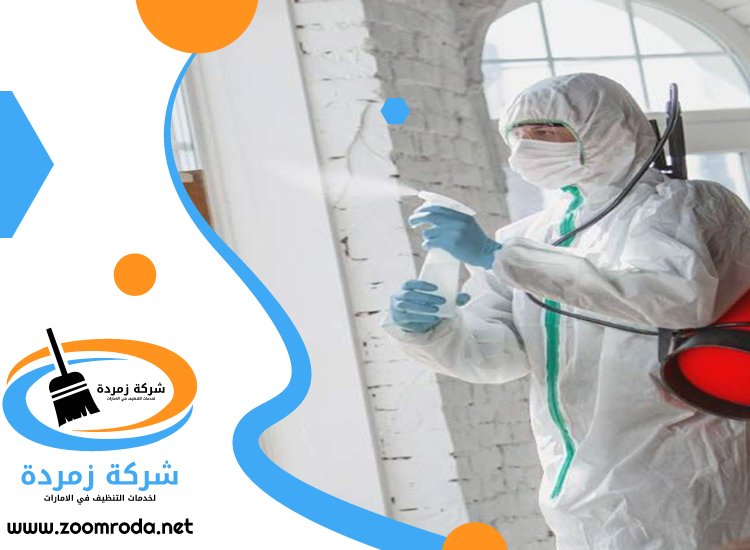 شركة مكافحة حشرات في القوز