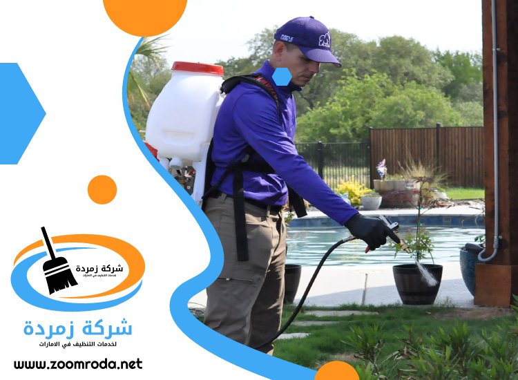 شركة مكافحة حشرات في السطوة