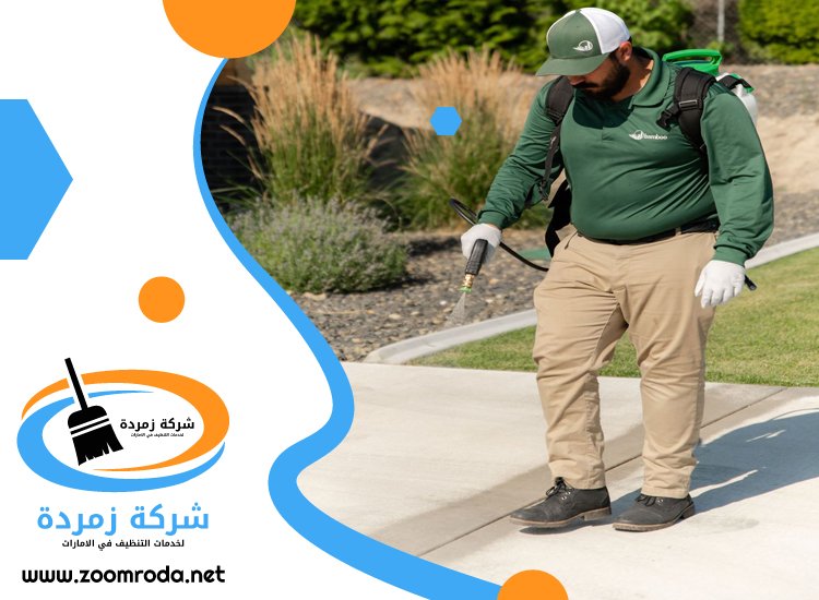 شركة مكافحة حشرات في الصفا