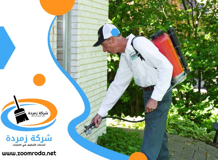 شركة مكافحة حشرات في المزهر