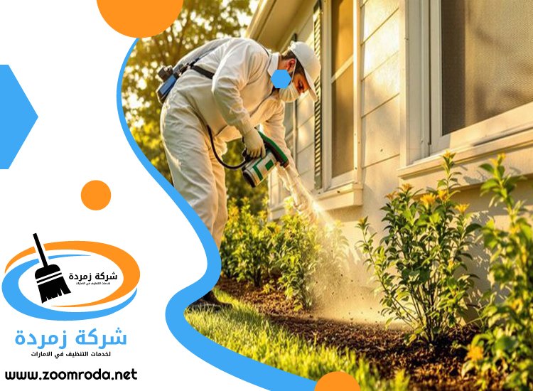 شركة مكافحة حشرات في المزهر