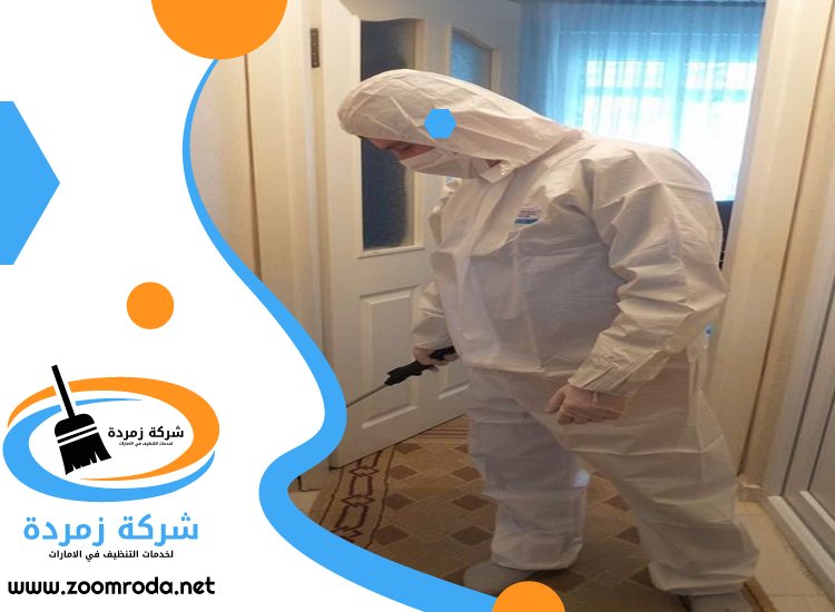 شركة مكافحة حشرات في المنارة
