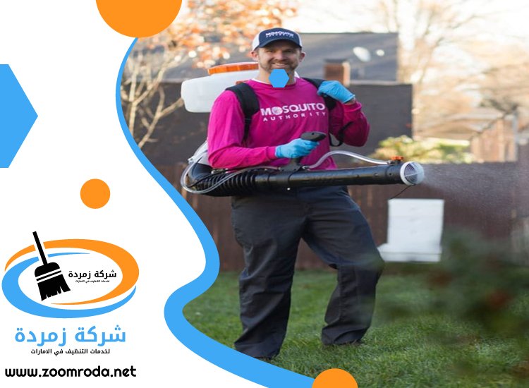 شركة مكافحة حشرات في العوير