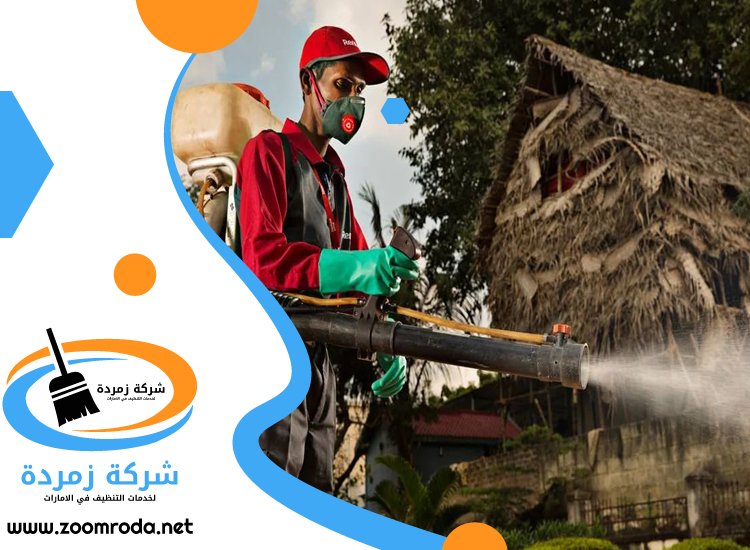 شركة مكافحة حشرات في العوير