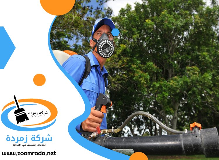 شركة مكافحة حشرات في العوير