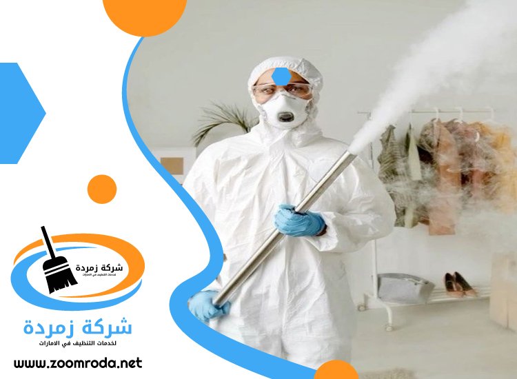 شركة مكافحة حشرات في الراشدية