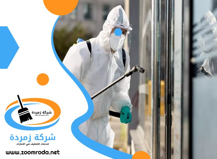 شركة مكافحة حشرات في الراشدية