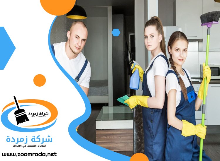 شركة تنظيف في لاند