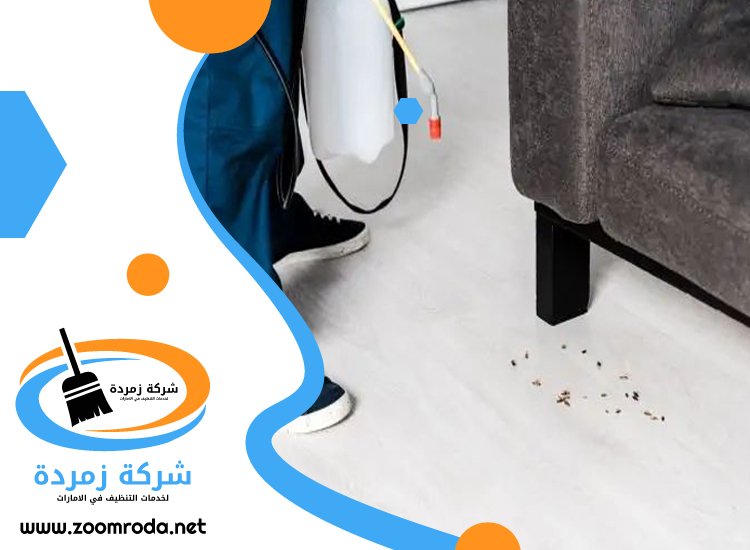 شركة مكافحة حشرات في الطيبة