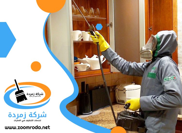 شركة مكافحة حشرات في الطيبة