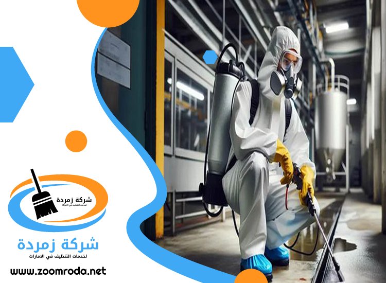 شركة مكافحة حشرات في الطيبة