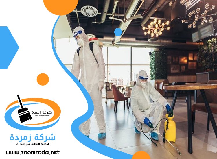 شركة مكافحة حشرات في الضاحية