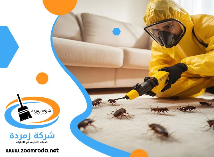 شركة مكافحة حشرات في الضاحية