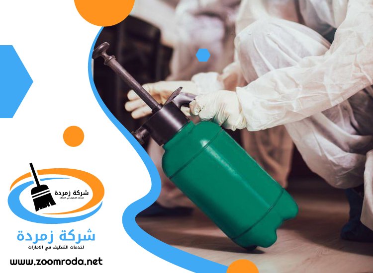 شركة مكافحة حشرات في الضاحية