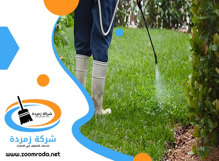 شركة مكافحة حشرات في دبا الفجيرة