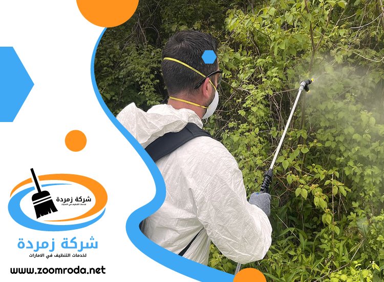 شركة مكافحة حشرات في دبا الفجيرة