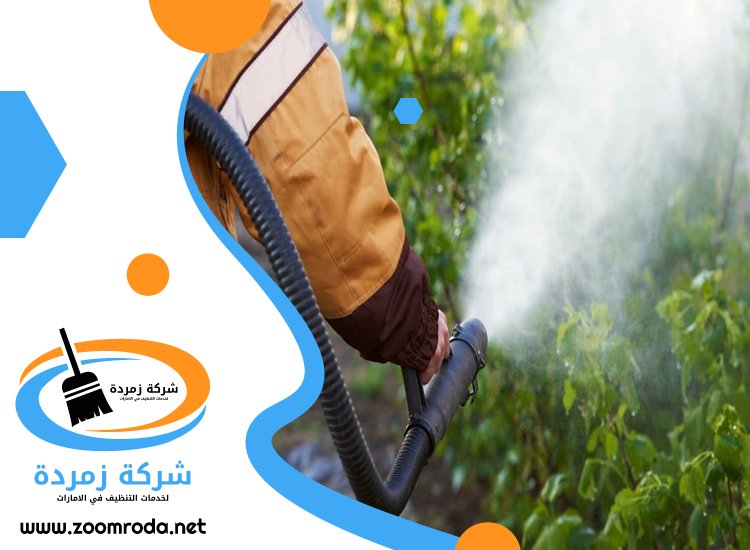 شركة مكافحة حشرات في دبا الفجيرة