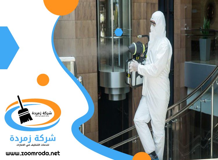 شركة مكافحة حشرات في وادي السدر
