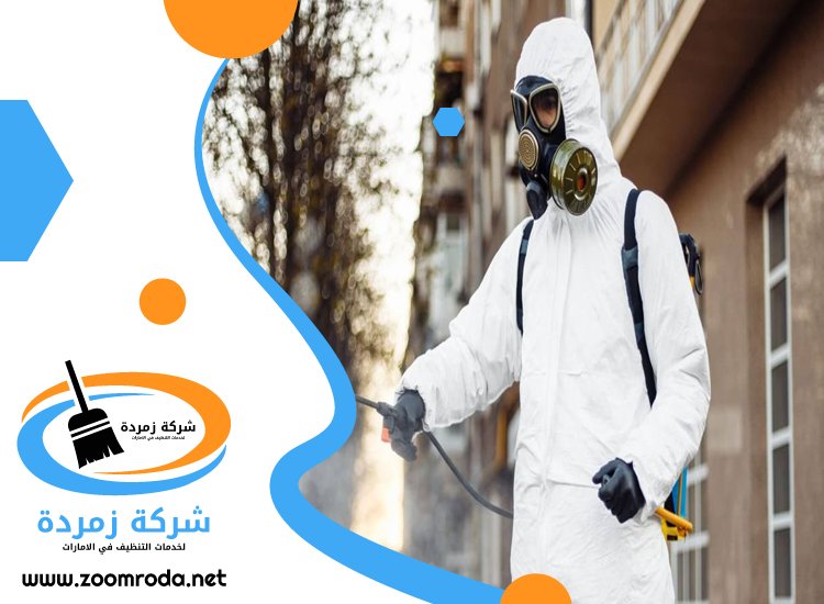 شركة مكافحة حشرات في وادي السدر
