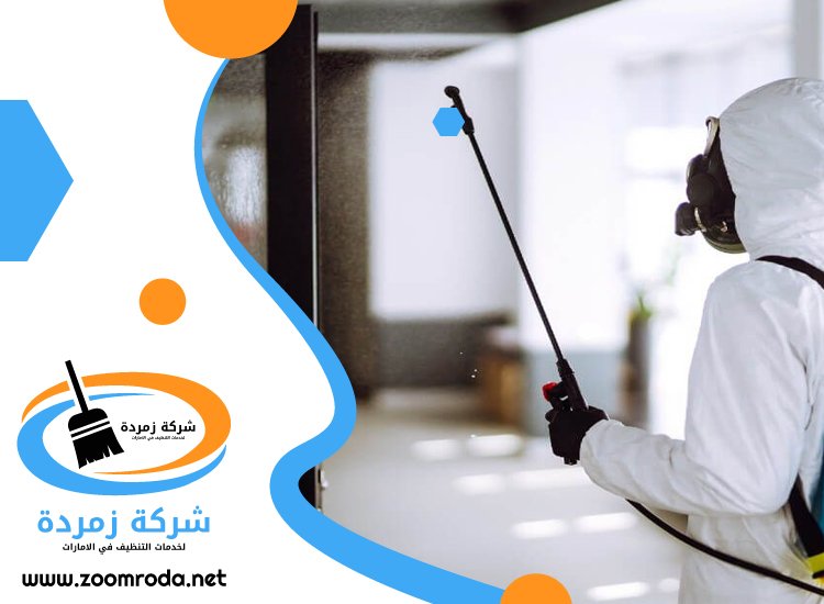شركة مكافحة حشرات في وادي السدر