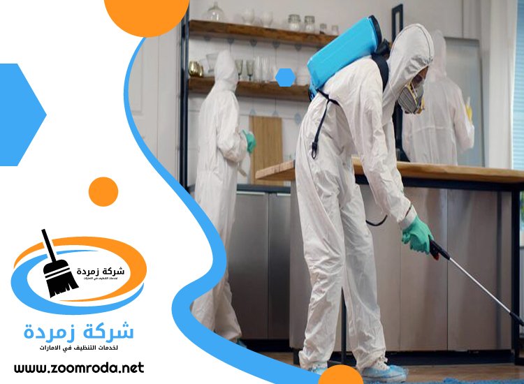 شركة مكافحة حشرات في السيجي