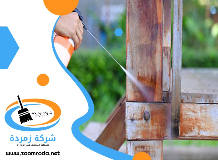 شركة مكافحة حشرات في الغرفة