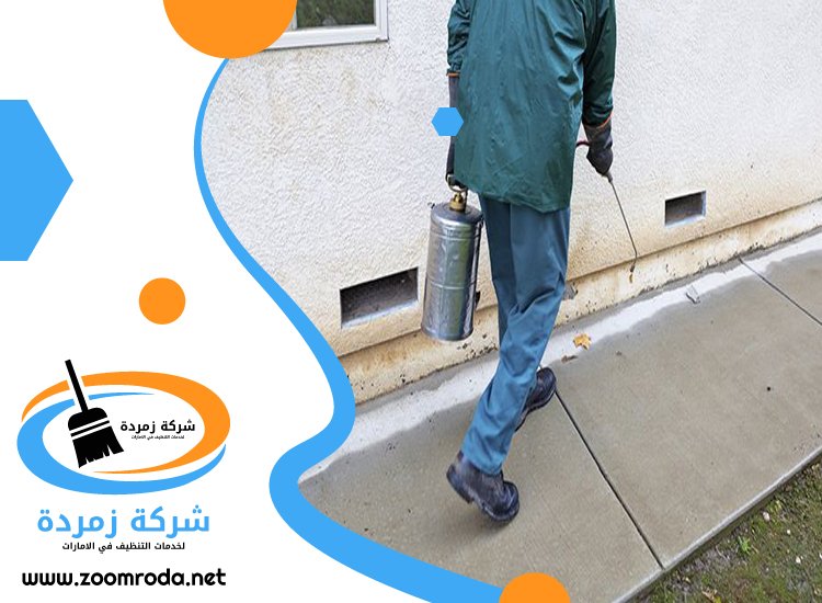 شركة مكافحة حشرات في الغرفة