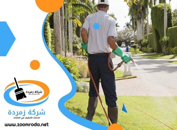 شركة مكافحة حشرات في الغرفة