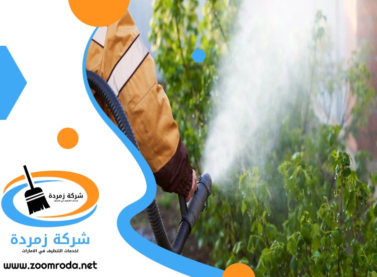 شركة مكافحة حشرات في الورسان