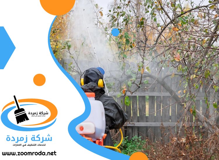 شركة مكافحة حشرات في الورسان