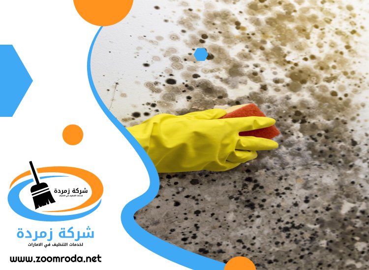 شركة تنظيف حوائط في عجمان