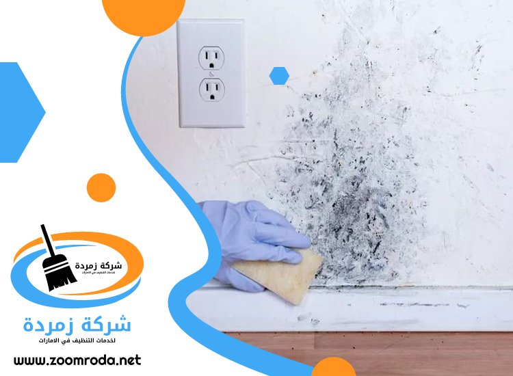 شركة تنظيف حوائط في عجمان