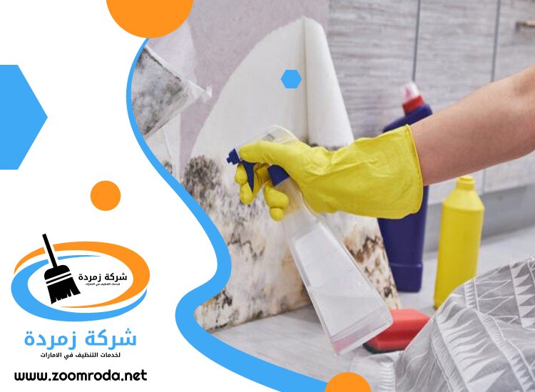 شركة تنظيف حوائط في ابوظبي