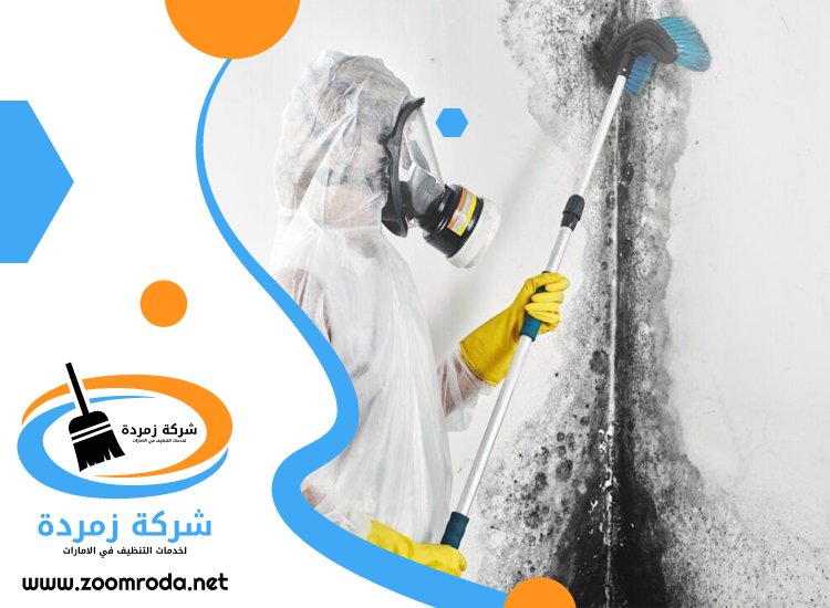 شركة تنظيف حوائط في دبي
