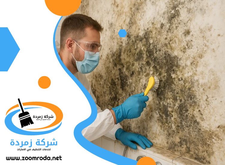 شركة تنظيف حوائط في دبي