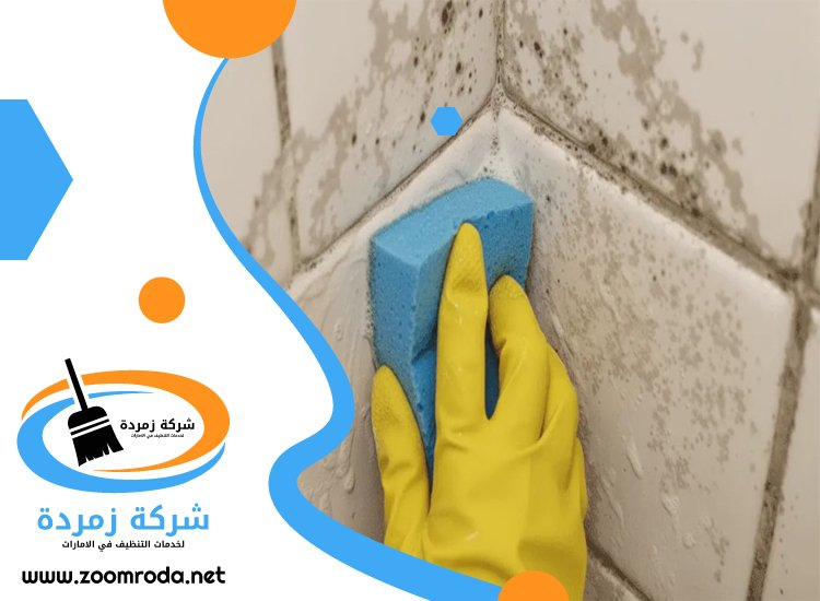 شركة تنظيف حوائط في دبي