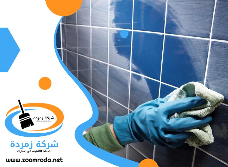 شركة تنظيف حوائط في العين