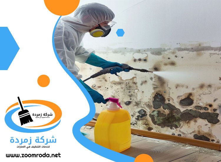 شركة تنظيف حوائط في ابوظبي