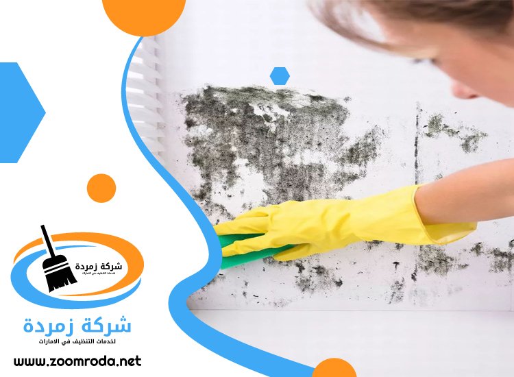 شركة تنظيف حوائط في الشارقة