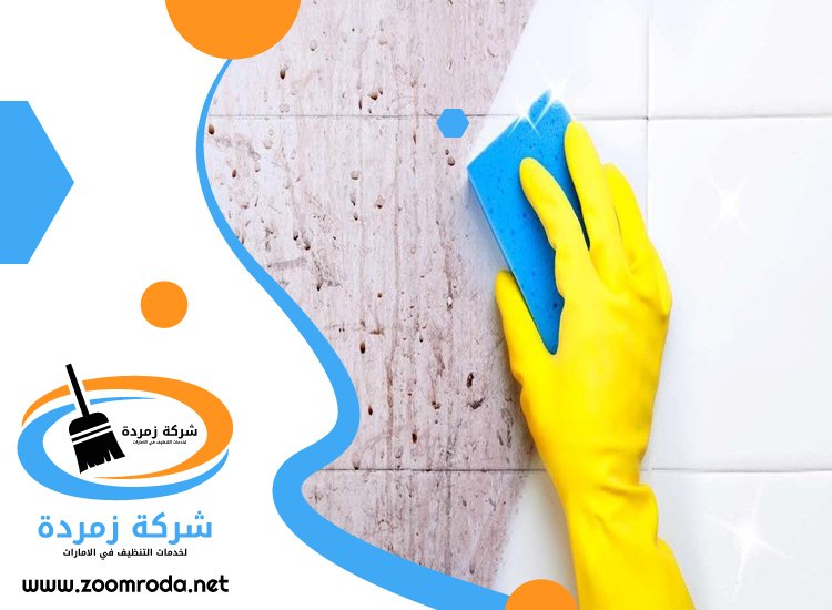 شركة تنظيف حوائط في الشارقة