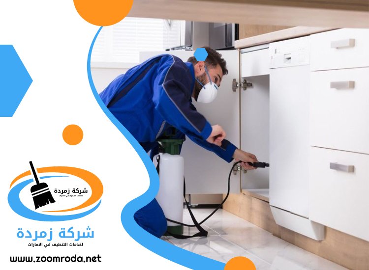 شركة مكافحة حشرات في الطويين