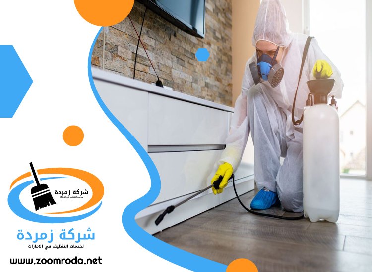 شركة مكافحة حشرات في مدوك