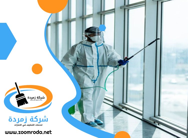 شركة مكافحة حشرات في مدوك