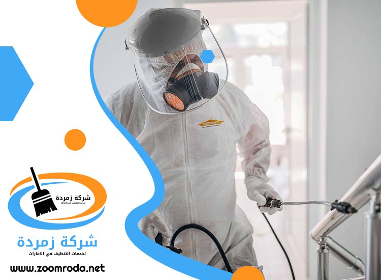 شركة مكافحة حشرات في ضدنا
