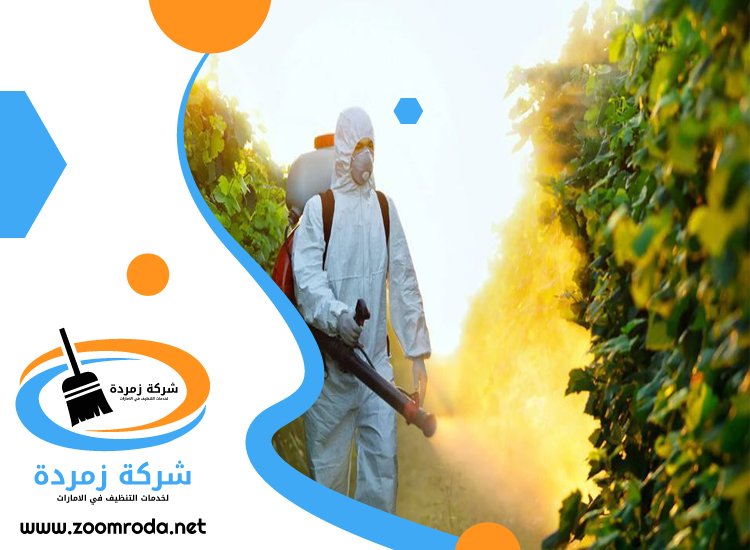 شركة مكافحة حشرات في الرحيب