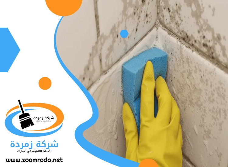 شركة تنظيف حوائط في العين