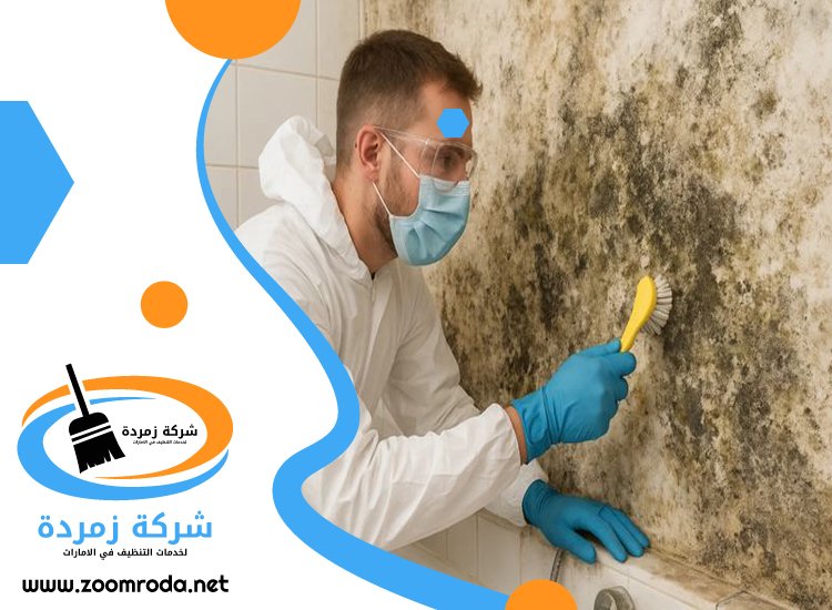 شركة تنظيف حوائط في العين