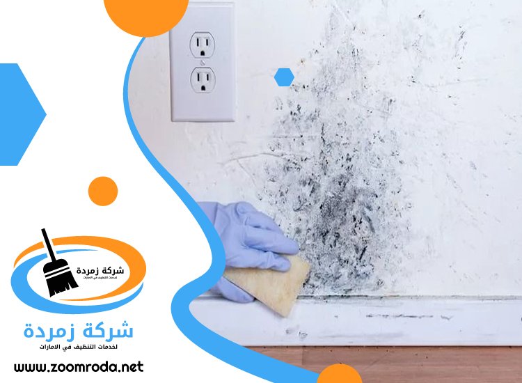شركة تنظيف حوائط في دبي