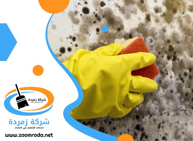 شركة تنظيف حوائط في دبي